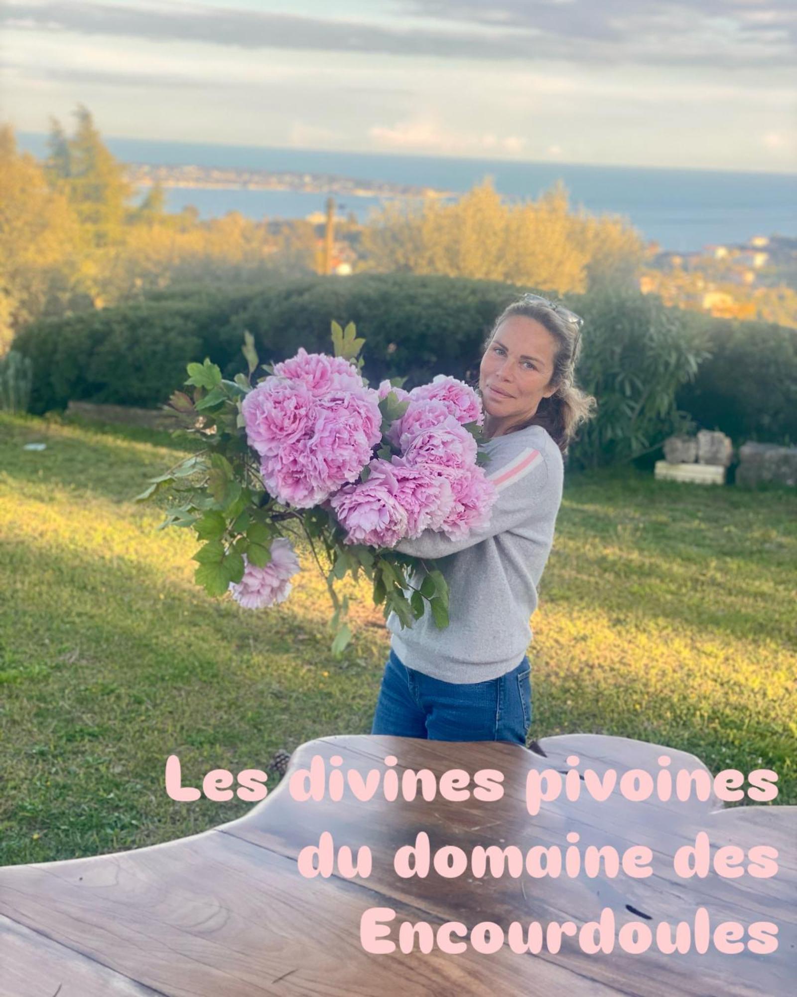 Domaine Des Encourdoules *